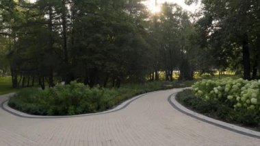 Sabah ışığı ağaçların arasından süzülür sakin bir parkta yemyeşil otlar ve huzurlu bir patika ile.