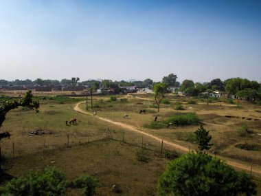 Khajuraho, milletvekili, Hindistan - 11, 30, 2013: Madhya Pradesh, Hindistan 'daki Khajuraho tapınaklarının karmaşık oymaları