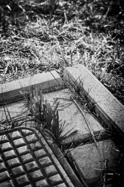 Grass grows around a concrete slab near a metal grate in a park setting during daylight clipart