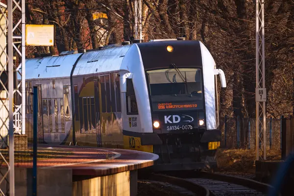 Walbrzych, Polonya - 01.23.2025: 'Koleje Dolnolskie' treni tren istasyonunda bekliyor