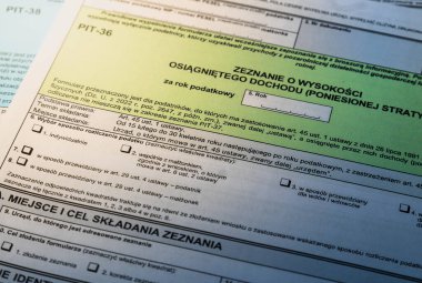 Kişisel gelir raporlaması için ayrıntılı Polonya pit vergisi formları mali sorumlulukları ve idareyi vurguluyor.