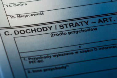 Yıllık mali raporlama için hayati önem taşıyan gelir ve zarar kısımlarını vurgulayan Polonya Pit vergi formunun ayrıntılı görünümü.