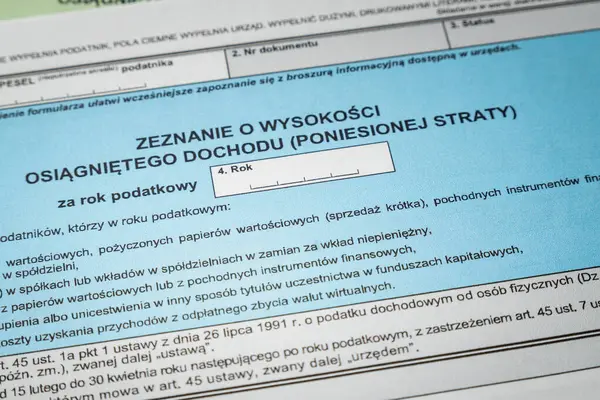Ayrıntılı Polonya vergi formları yıllık gelir vergisi iadeleri için gelir, gelir ve mali raporlama hakkında bilgi gösteriyor.