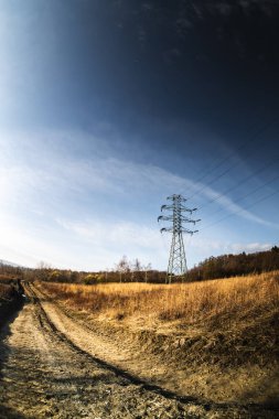 Dolambaçlı toprak bir yol altın tarlalar boyunca uzanır, parlak mavi bir gökyüzünün altında, uzaktaki yüksek elektrik hatlarıyla vurgulanır..