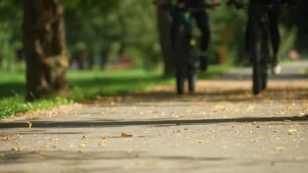在阳光明媚的夏日 两个骑自行车走近的人在公园里没有人脸的低角度镜头 — 图库视频影像