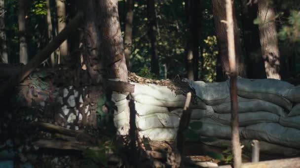 Cenário Florestal Soldado Armado Com Uma Espingarda Monitora Cautelosamente Seu — Vídeo de Stock