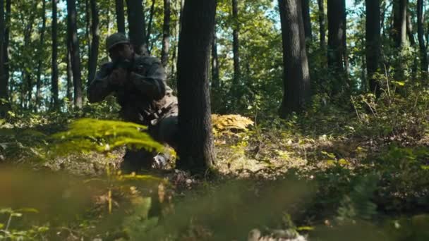 Солдат Снайпер Осторожно Проходят Через Лес — стоковое видео