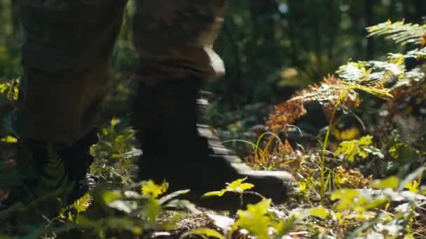 Tentara Kaki Berseragam Bergerak Melalui Hutan Dengan Hati Hati — Stok Video