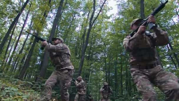 Military Squad Walking Cautiously Trees Looking Themselves — Stock Video
