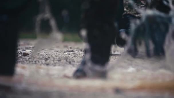 Close Widok Żołnierzy Buty Pluskające Wodą Kałużach — Wideo stockowe