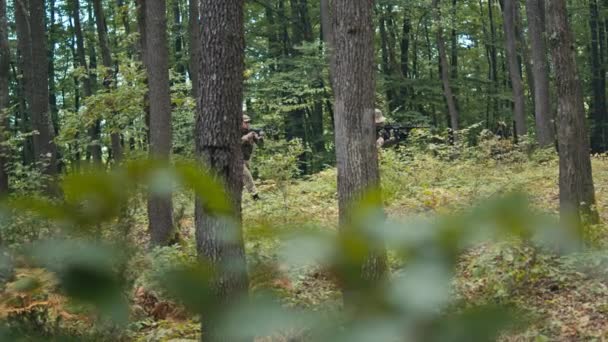 Deux Soldats Déplacent Lentement Avec Des Fusils Dans Forêt — Video