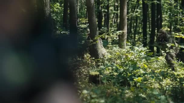 Deux Soldats Accroupis Alors Ils Repèrent Ennemi Dans Forêt — Video