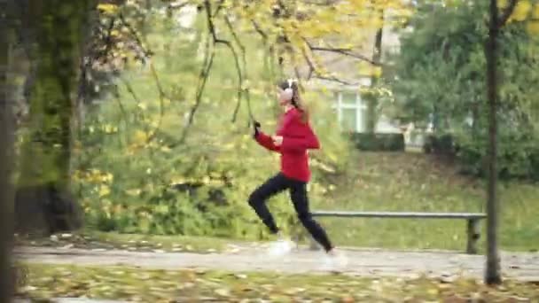 若い白人女性が秋にジョギングをしたり 音楽を聴いたりした 彼女はヘッドフォンを身に着け 木の間に走り 季節の背景に対して活発で健康的なライフスタイルを披露します — ストック動画