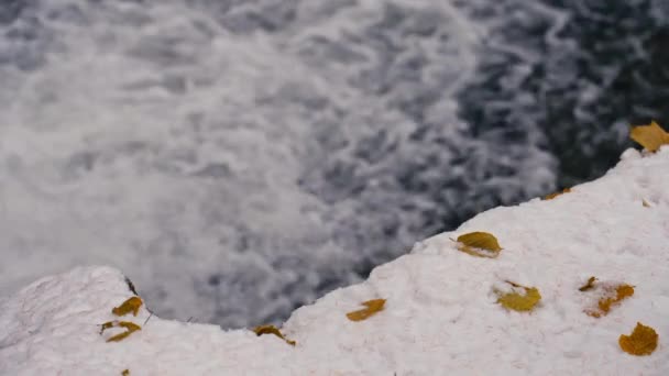 黄色い葉は雪の上に繊細に休息し 下に流れる輝く水に焦点を当てています 魅惑的なシーンで冬の美しさ — ストック動画