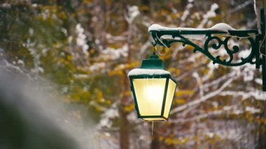 19. yüzyıl mirasının bir parçası olan klasik kar kaplı lamba, zamanda donmuş olarak duruyor. Garip, yeşil dış görünüş kış sahnesine klasik bir dokunuş katıyor..