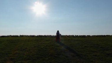 A woman walking across a meadow wearing a red dress and a waving white scarf, casting elegant shadow in the sunny breeze. She leaves sheep and sun in the background.