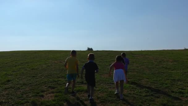 Four Children Run Sunny Meadow Horizon Embodying Excitement Freedom Active — Stockvideo