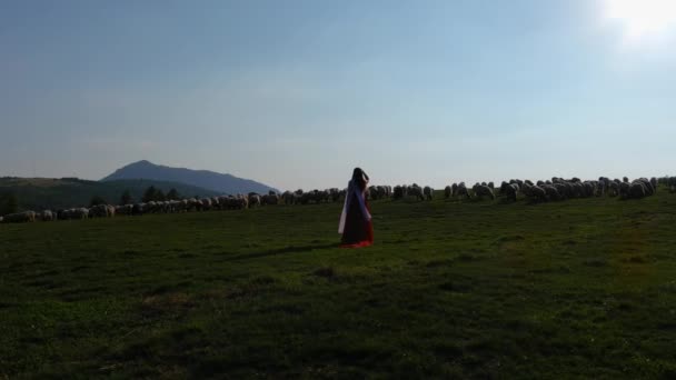 Woman Red Dress White Scarf Stands Amidst Serene Meadow Flock — Stockvideo