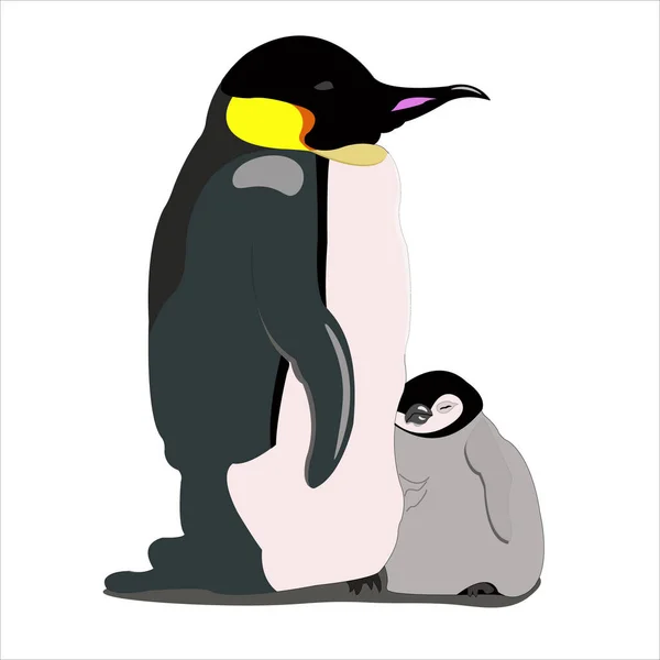 Familj Pingviner Badkar Kylan — Stock vektor