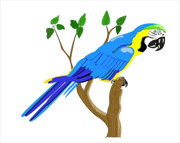 Tropikalna Papuga Siedzi Drzewie — Wektor stockowy