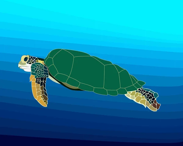 Uma Tartaruga Nada Oceano — Vetor de Stock