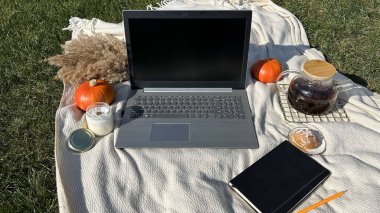 Seçici odaklanma. Sonbahar parkında bej bir halıda dizüstü bilgisayar. Yakınlarda bir portakal kabağı ve kağıt kahve fincanı var. Doğadaki iş konusu. en üstteki görünüm