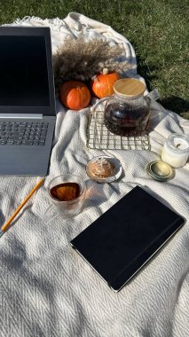 Seçici odaklanma. Sonbahar parkında bej bir halıda dizüstü bilgisayar. Yakınlarda bir portakal kabağı ve kağıt kahve fincanı var. Doğadaki iş konusu..