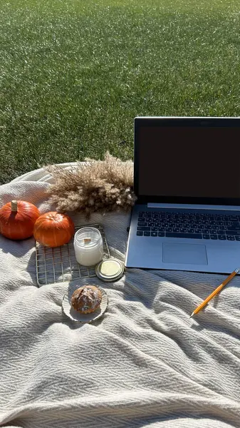 Selective focus. laptop in an autumn public park on a beige rug. An orange pumpkin and a paper coffee cup lie nearby. The topic of work in nature. top view