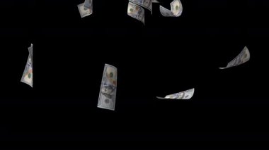 ABD 100 Dolar Para Birimi Alfa ile Düşüyor