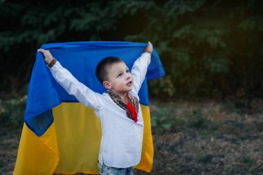 Ukrayna 'nın Bağımsızlık Günü. Bahçesinde Ukrayna 'nın sarı-mavi bayrağı olan beyaz işlemeli gömlekli küçük bir çocuk. Ukrayna bayrağı. Anayasa Günü.