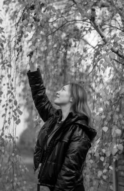 Koyu renk ceketli bir kız ağacın yanında duruyor ve renkli sonbahar yapraklarına dokunuyor. Sonbahar mevsiminde sarı ağaçların arkasında parkta dinlenen genç bir kadın. Siyah beyaz fotoğraf.