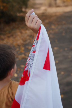 Küçük bir çocuk Polonya bayrağını elinde tutuyor. Ulusal bayrağı olan bir çocuğun portresi. Dikiz aynası. Ulusal bayramlar ve vatanseverlik olayları kavramı. Vatanseverlik. Bağımsızlık Günü.