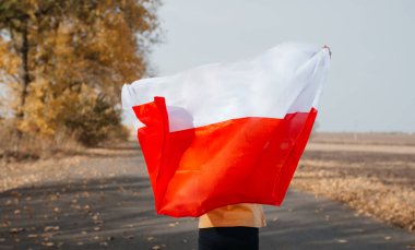 Arkasında Polonya bayrağını tutan yakışıklı küçük bir çocuk. Doğada ulusal bayrak taşıyan bir çocuk yolda duruyor. Ulusal bayramlar ve vatanseverlik olayları kavramı. Bağımsızlık Günü