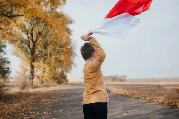 Polonya 'nın ulusal bayrağını elinde tutan küçük bir çocuk. Doğada bayrak sallayan çocuklar. Dikiz aynası. Ulusal bayramlar ve vatanseverlik olayları kavramı. Vatanseverlik. Bağımsızlık Günü.