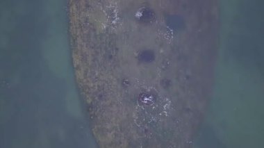 Melbourne, VIC, Avustralya - 22 Nisan 2019 - HMVS Cerberus Half Moon Körfezi 'nde dalgakıran olarak batırılan eski bir savaş gemisidir..