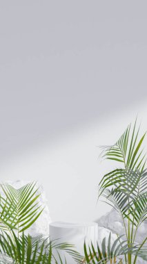 Palmiye yaprağı ve kaya arkaplan prim fotoğraf 3D görüntülü beyaz podyum