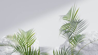 Palmiye yaprağı ve kaya arkaplan prim fotoğraf 3D görüntülü beyaz podyum