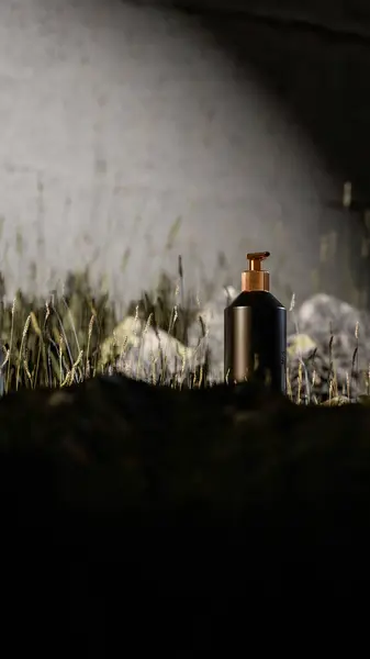 Siyah lüks bir kozmetik pompa şişesinin doğal çimen manzarasında bir taşın üzerinde duran altın kaplama, markalaşma, ürün tasarımı ve reklam görselleştirmesi için mükemmel..