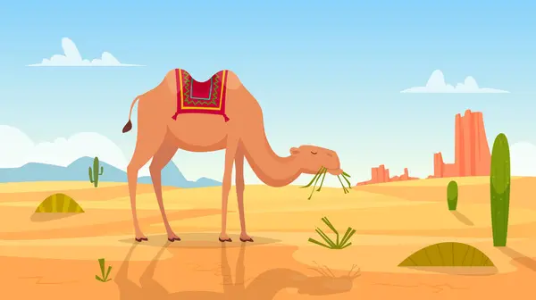 沙漠背景 非洲风景与骆驼群户外荒原病媒卡通画 非洲旅游景观 运输骆驼图解 — 图库矢量图片
