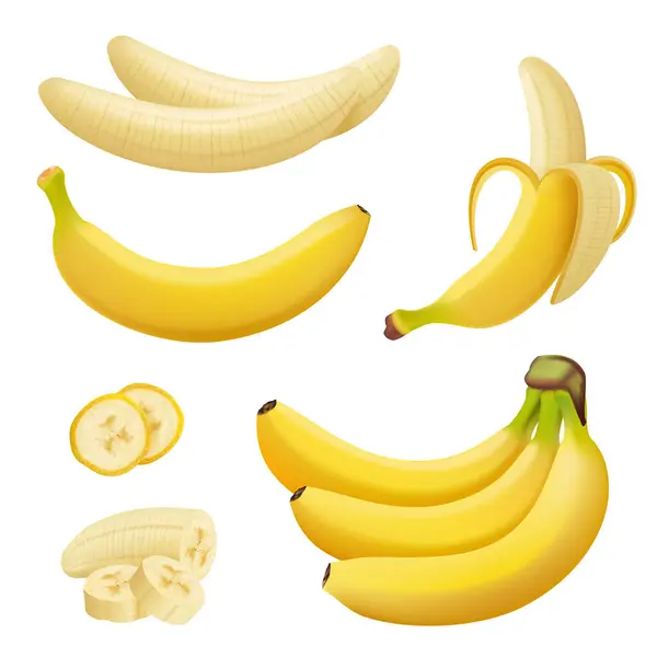 Bananowe Owoce Egzotyczne Desery Naturalne Tropikalne Rośliny Wektor Zdrowej Żywności — Wektor stockowy