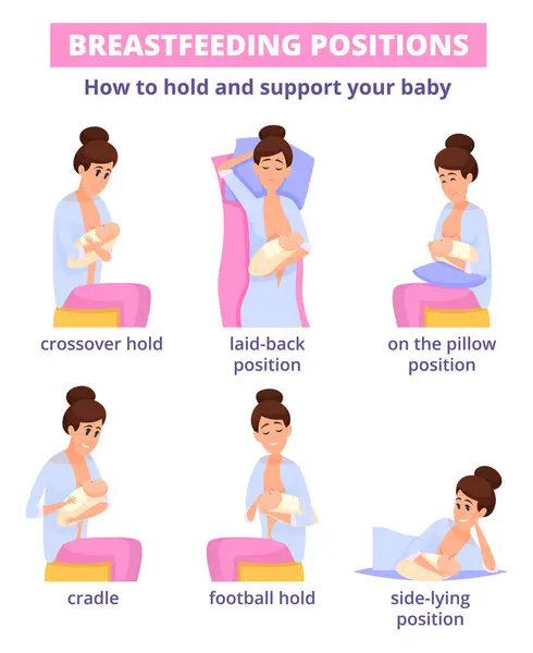 Breastfeeding Positions Pregnant Parenting Women Breast Lactation Baby Milk Vector — Stock Vector