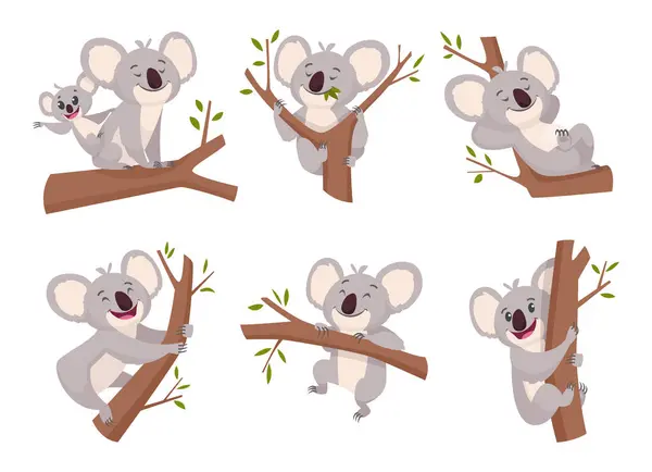 Koalabjörn Vilt Söta Lurviga Djur Från Australien Zoo Tecken Tecknad — Stock vektor
