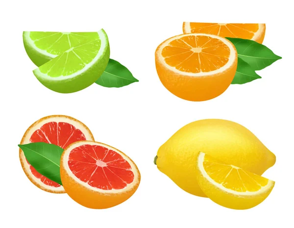 Citrusové Produkty Citrónové Grapefruity Pomerančové Přírodní Zdravé Ovoce Vektorové Jídlo — Stockový vektor