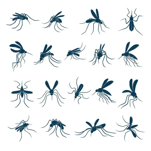 Mosquito Voador Pequenos Insetos Sanguessugas Portadores Vírus Silhuetas Vetor Desenhado — Vetor de Stock