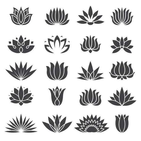 Icono Loto Logotipo Botánico Para Salón Belleza Plantas Tropicales Vector — Archivo Imágenes Vectoriales