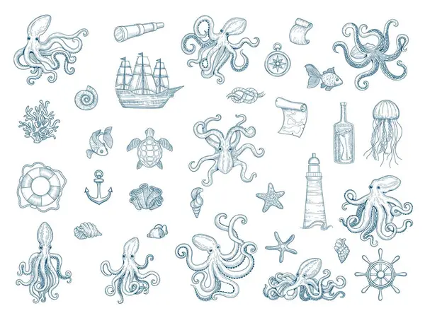 Mariene Illustraties Octopus Nautische Set Wilde Inktvis Schelpen Monster Kraken — Stockvector