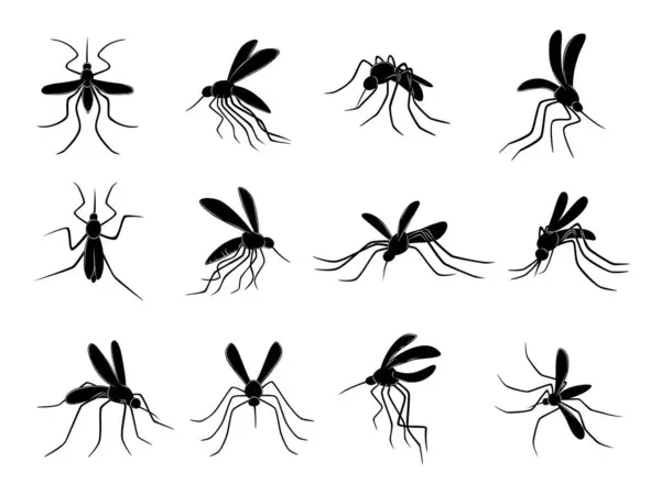 Mosquito Insectos Voladores Portadores Virus Chupasangre Vector Mosquitos Dibujados Mosquito — Vector de stock
