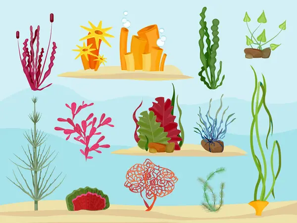 Морские Водоросли Водой Морские Ботанические Растения Коллекции Океанических Морских Векторных — стоковый вектор