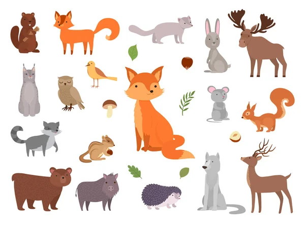 可爱的野生动物 病媒森林动物收集狐狸带有猫头鹰病媒图片集 说明森林熊和兔子 收集野生松鼠和刺猬 — 图库矢量图片