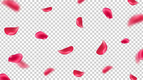 Padající Růžové Okvětní Lístky Létající Listy Růží Průhledném Pozadí Realistická — Stockový vektor